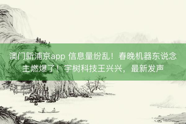 澳門新浦京app 信息量紛亂！春晚機(jī)器東說念主燃爆了！宇樹科技王興興，最新發(fā)聲