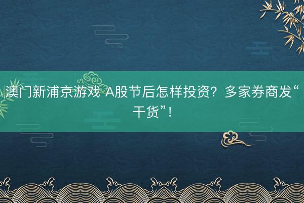 澳門(mén)新浦京游戲 A股節(jié)后怎樣投資？多家券商發(fā)“干貨”！
