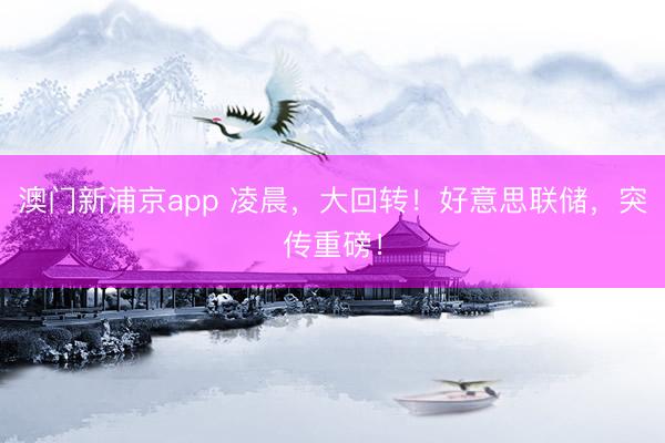 澳門新浦京app 凌晨，大回轉(zhuǎn)！好意思聯(lián)儲，突傳重磅！