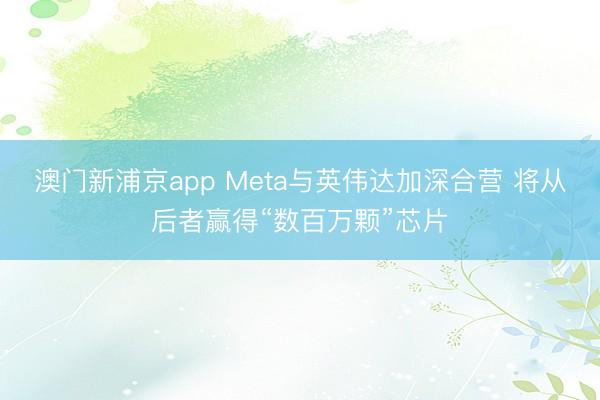 澳門新浦京app Meta與英偉達(dá)加深合營 將從后者贏得“數(shù)百萬顆”芯片