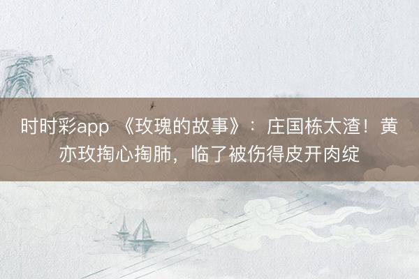 時時彩app 《玫瑰的故事》:莊國棟太渣!黃亦玫掏心掏肺,臨了被傷得皮開肉綻