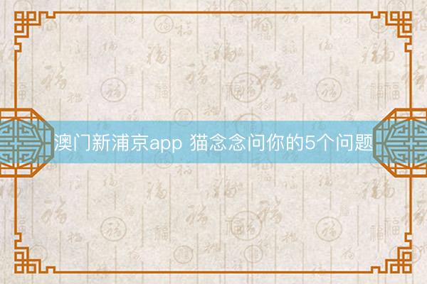 澳門新浦京app 貓念念問你的5個(gè)問題