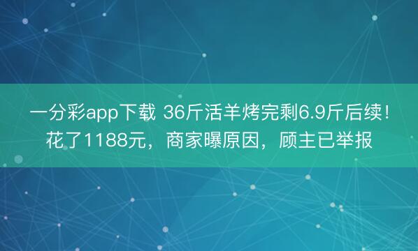 一分彩app下載 36斤活羊烤完剩6.9斤后續！花了1188元，商家曝原因，顧主已舉報